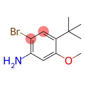 2-Bromo-4-(tert-butyl)-5-methoxyaniline