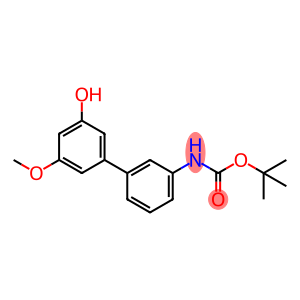 5-(3-boc-aminophenyl)-3-methoxyphenol
