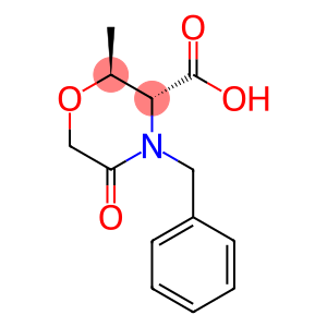 (2S,3R)-2-Methyl-5-oxo-4-(phenylMethyl)-3-Morpholinecarboxylic acid