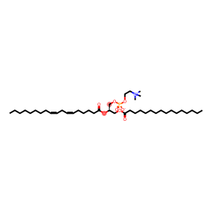 1-palmitoyl-2-isolinoleoyl phosphatidylcholine