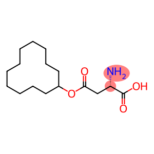 beta-cyclododecyl aspartate