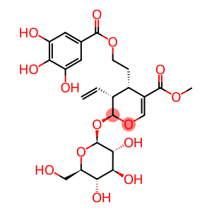 Methyl (2R,3S,4R)-3-ethenyl-4-[2-(3,4,5-trihydroxybenzoyl)oxyethyl]-2-[(2S,3R,4S,5S,6R)-3,4,5-trihydroxy-6-(hydroxymethyl)oxan-2-yl]oxy-3,4-dihydro-2H-pyran-5-carboxylate