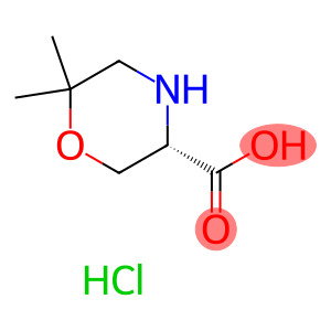 (S)-6,6-Dimethyl-morpholine-3-carboxylic acid hydrochloride