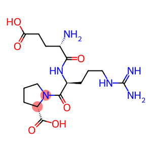 glutamyl-arginyl-proline