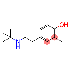 4-[2-[(1,1-Dimethylethyl)amino]ethyl]-2-methylphenol