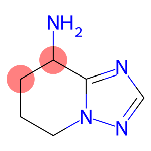 5H,6H,7H,8H-[1,2,4]triazolo[1,5-a]pyridin-8-amine