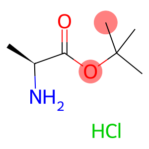 氯化[(2S)-1-[(2-甲基丙-2-基)氧基]-1-氧代-丙-2-基]铵