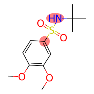 N-(tert-butyl)-3,4-dimethoxybenzenesulfonamide