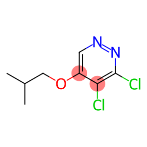 3,4-dichloro-5-isobutoxypyridazine