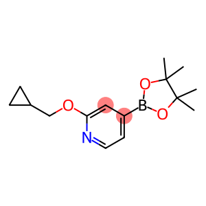 2-(环丙基甲氧基)-4-(4,4,5,5-四甲基-1,3,2-二氧硼烷-2-基)吡啶