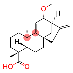12alpha-Methoxygrandiflorenic acid