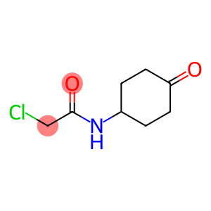 2-Chloro-N-(4-oxo-cyclohexyl)-acetaMide