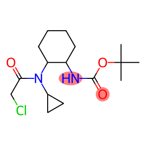 {2-[(2-Chloro-acetyl)-cyclopropyl-aMino]-cyclohexyl}-carbaMic acid tert-butyl ester