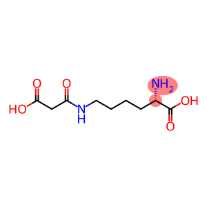 N6-(2-Carboxyacetyl)-L-lysine