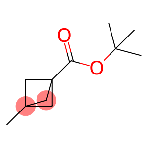 3-Methyl-bicyclo[1.1.1]pentane-1-carboxylic acid tert-butyl ester