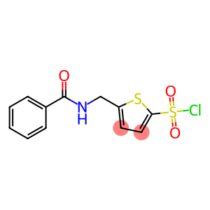 5-(苯甲酰基氨基)甲基-2-噻吩磺酰氯