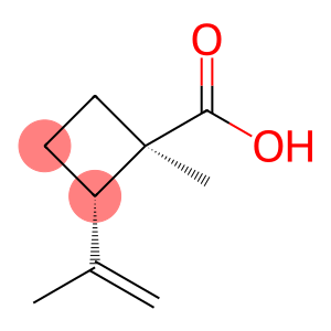 Cyclobutanecarboxylic acid, 1-methyl-2-(1-methylethenyl)-, (1R-trans)- (9CI)