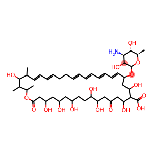 20-(4-Amino-3,5-dihydroxy-6-methyl-oxan-2-yl)oxy-4,22,24,28,29,32,34,36-octahydroxy-2,3,5-trimethyl-26,38-dioxo-1-oxacyclooctatriaconta-6,8,12,14,16,18-hexaene-23-carboxylic acid