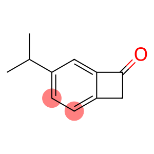 Bicyclo[4.2.0]octa-1,3,5-trien-7-one, 4-(1-methylethyl)- (9CI)