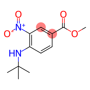 Methyl 4-(tert-butylaMino)-3-nitrobenzoate
