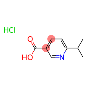 6-Isopropylnicotinic acid hydrochloride