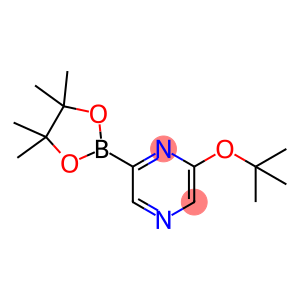 2-[(2-Methylpropan-2-yl)oxy]-6-(4,4,5,5-tetramethyl-1,3,2-dioxaborolan-2-yl)pyrazine