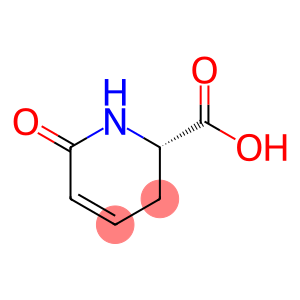 2-Pyridinecarboxylicacid,1,2,3,6-tetrahydro-6-oxo-,(S)-(9CI)
