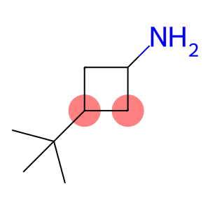 3-tert-butylcyclobutan-1-amine, Mixture of diastereomers