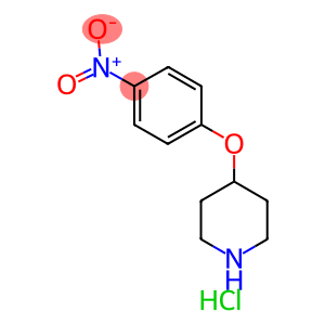 4-(4-Nitrophenoxy)piperidine HCl