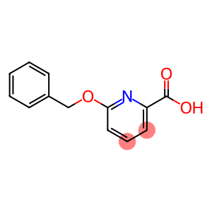 6-(苄氧基)吡啶甲酸