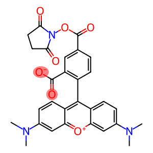 2-[6-(dimethylamino)-3-(dimethyliminio)-3H-xanthen-9-yl]-5-{[(2,5-dioxopyrrolidin-1-yl)oxy]carbonyl}benzoate