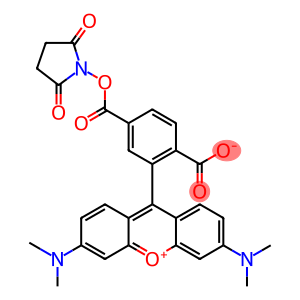 6-Carboxy-tetramethylrhodamine N-succinimidyl ester, for fluorescence