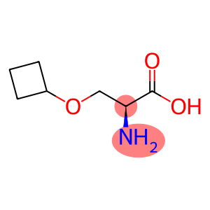 (2S)-3-cyclobutoxy-2-({[(9H-fluoren-9-yl)methoxy]carbonyl}amino)propanoic acid