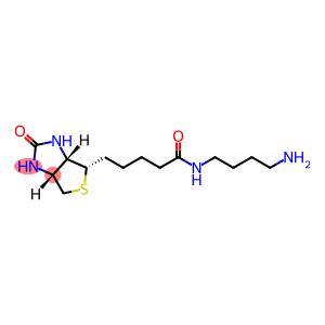N-(4-氨基丁基)生物素酰胺