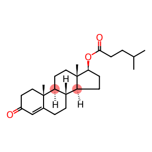 3-oxoandrost-4-en-17-yl 4-methylpentanoate
