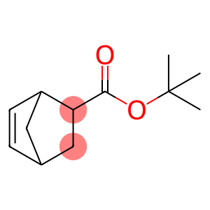 bicyclo[2.2.1]hept-5-ene-2-carboxylic acid 1,1-dimethylethyl ester