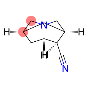 2,6-Methano-1H-pyrrolizine-1-carbonitrile,hexahydro-,(1alpha,2beta,6beta,7aalpha)-(9CI)