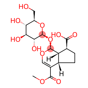 Cyclopenta[c]pyran-4,7-dicarboxylic acid, 1-(β-D-glucopyranosyloxy)-1,4a,5,6,7,7a-hexahydro-, 4-methyl ester, (1S,4aS,7S,7aS)-
