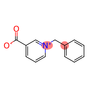 Pyridinium, 3-carboxy-1-(phenylmethyl)-, hydroxide, inner salt