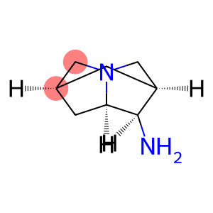 2,6-Methano-1H-pyrrolizin-1-amine,hexahydro-,(1alpha,2beta,6beta,7abeta)-(9CI)