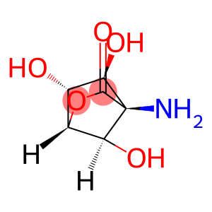 2-Oxabicyclo[2.2.1]heptan-3-one,4-amino-5,6,7-trihydroxy-,[1R-(5-endo,6-exo,7-syn)]-(9CI)