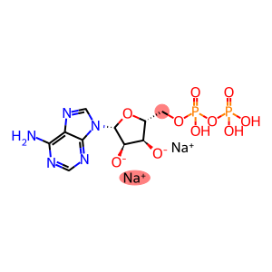 ADPNA2 二磷酸腺苷二钠 标准品
