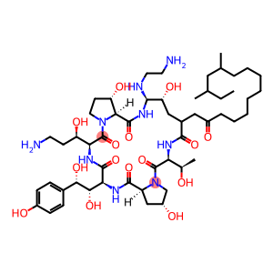 PneuMocandin B0,1-[(4R,5S)-5-[(2-aMinoethyl)aMino]-N2-(10,12-diMethyl-1-oxotetradecyl)-4-hydroxy-L-ornithine]-5-[(3R)-3-hydroxy-L-ornithine]-