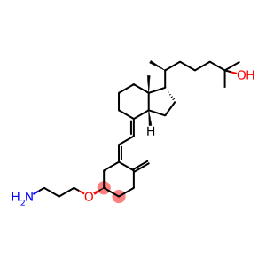 25 - 羟基维生素D33,3' - 氨基丙基醚