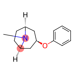 8-Azabicyclo[3.2.1]octane, 8-methyl-3-phenoxy-, endo- (9CI)