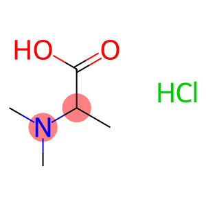 2-(dimethylamino)propanoic acid hydrochloride