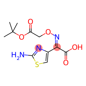 2-(2-aminothiazole-4-yl)-2-[2-(tertbutyl carbonyl)-methoxy imino]acetic acid