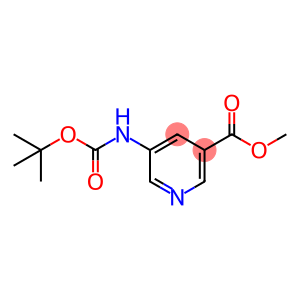 Methyl 5-(tert-butoxycarbonylamino)nicotinate