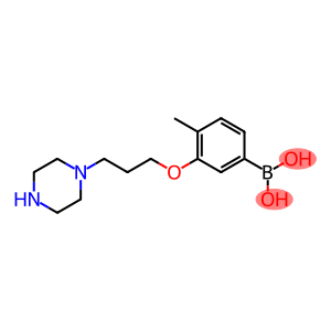 4-甲基-3-(3-(哌嗪-1-基)丙氧基)苯基硼酸