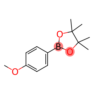 4-Methoxybenzeneboronic acid, pinacol ester